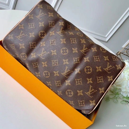 SPEEDY Vuitton Louis 30 BANDOULIERE 0801